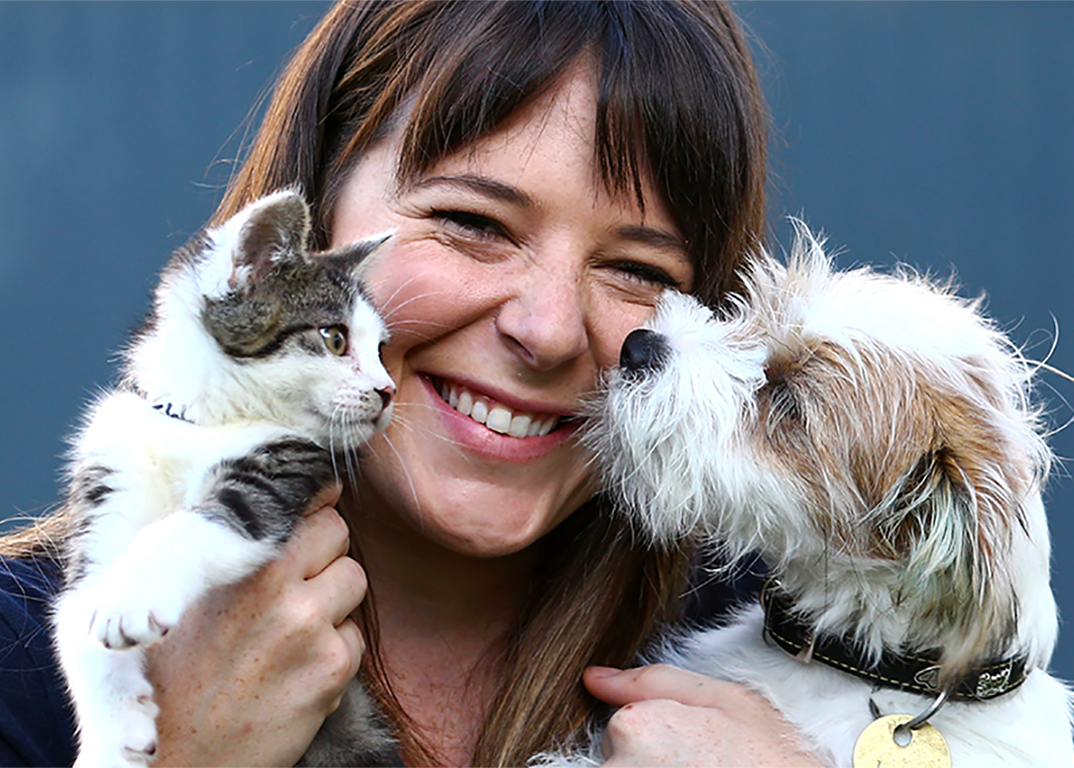 Lost Dogs Home Improved Budgeting